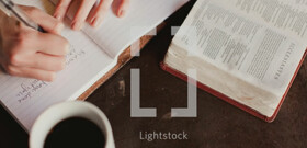 Photo Gallery 1