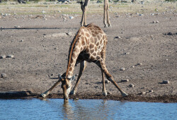 Namibia.9