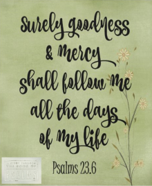 Psalms Series Week 21