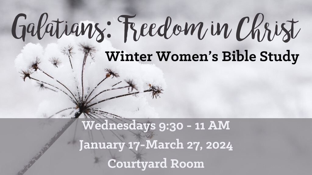 Winter 2024 Women's Bible Study