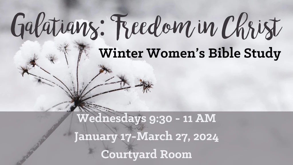 Winter 2024 Women's Bible Study