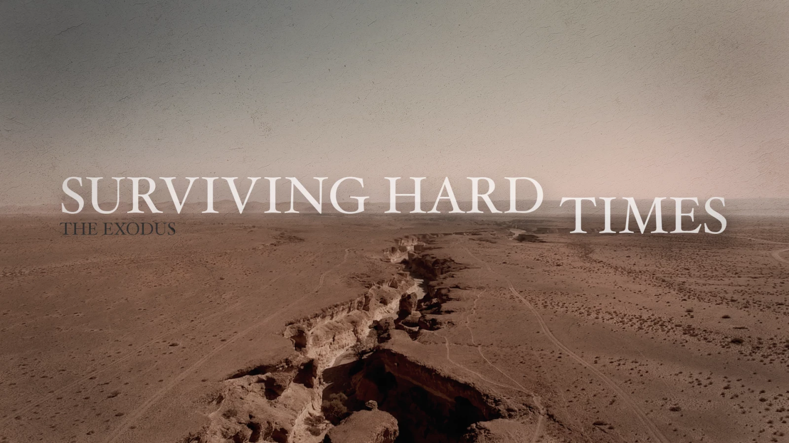 Surviving Hard Times