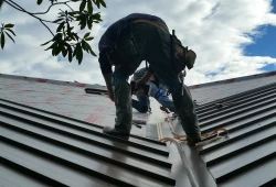 Roof.Chris.2