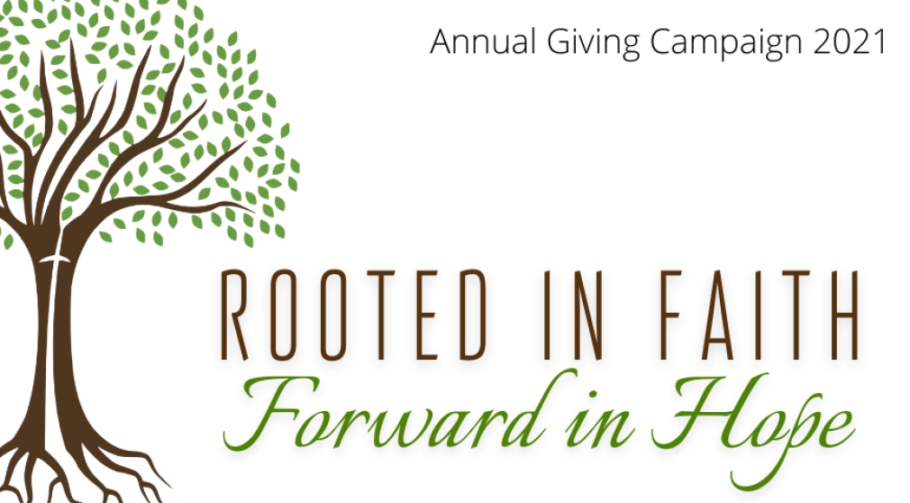 Annual Giving Update