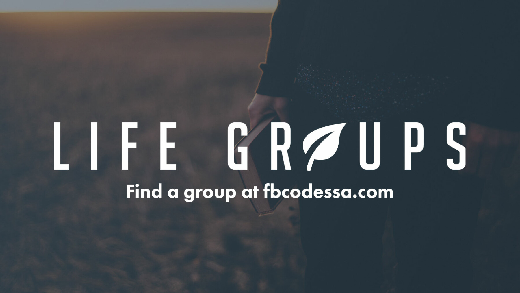 Adult Bible Study Groups 