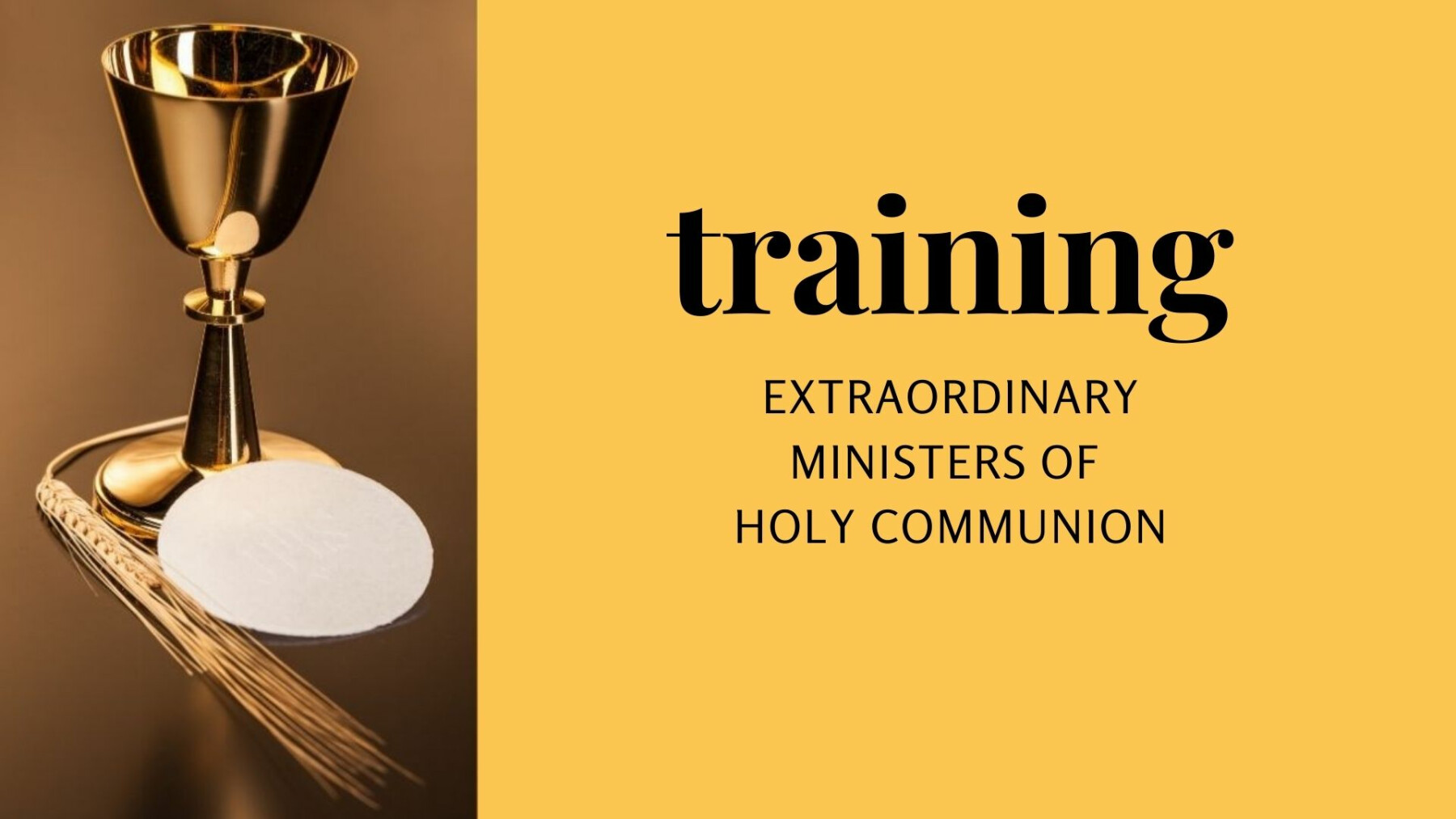 Extraordinary Ministers of Holy Communion Training