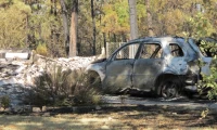 Bastrop Devastation 2