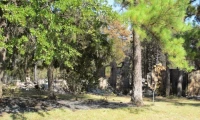 Bastrop Devastation 3