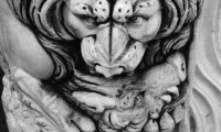 Carrie Engerrand - Lion