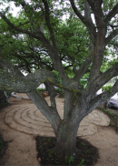 Grace Houston Tree of Life Labyrinth Dedication and Blessing