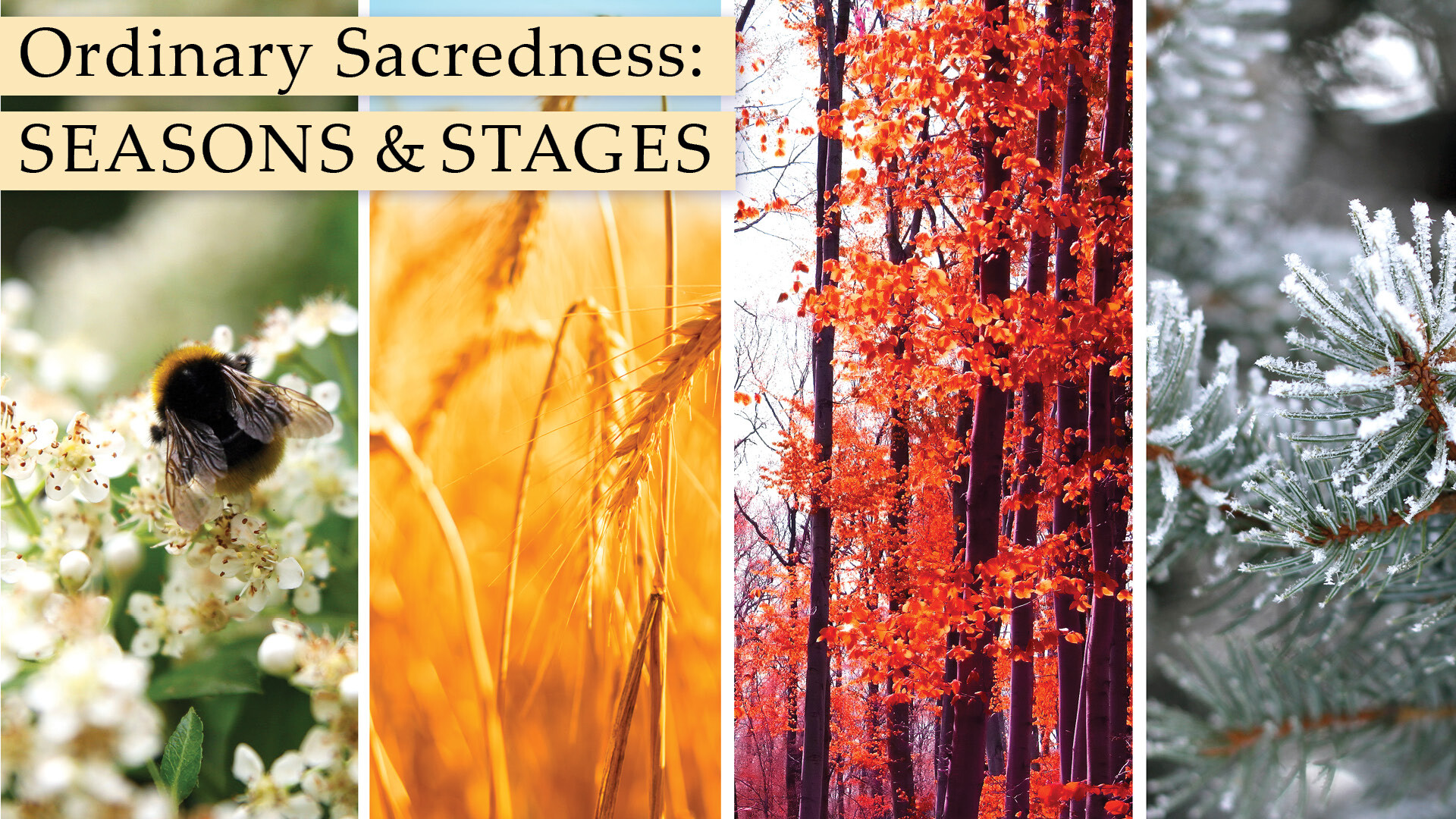 Seasons & Stages