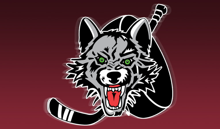 Chicago Wolves: Faith & Fellowship Night