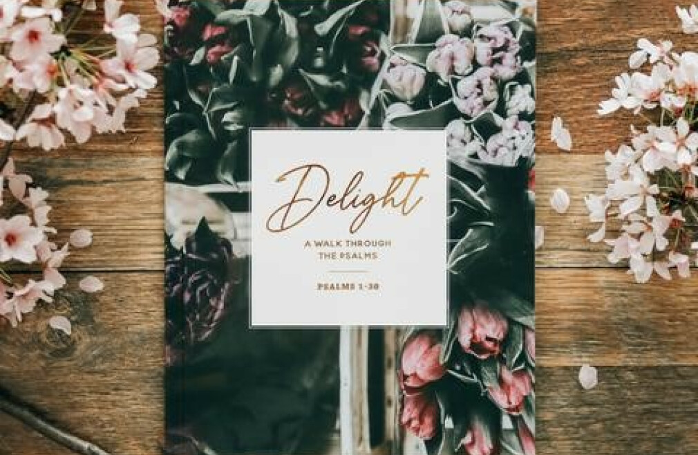 Women's Bible Study - Delight