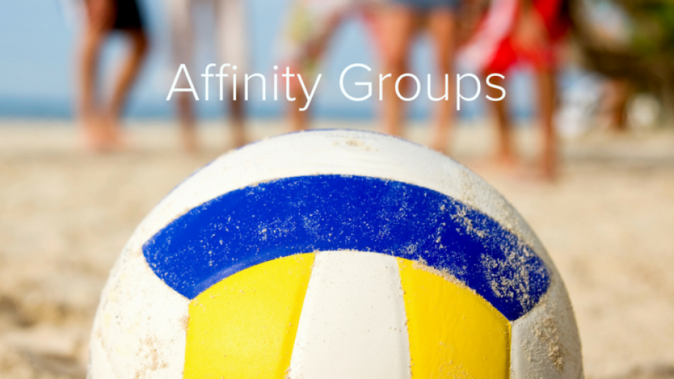 Young Adult Affinity Groups: Volleyball