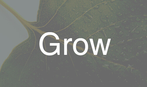 Grow