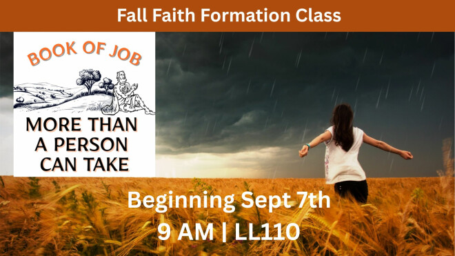 Book of Job - Fall Adult FFC