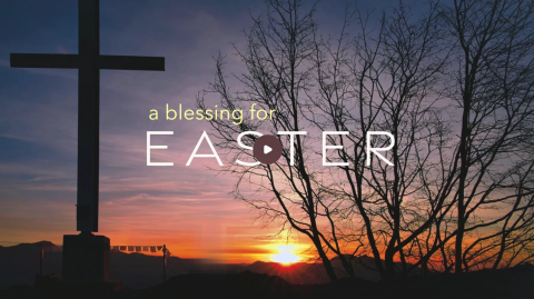 Celebrate: The Lamb Who Was Slain