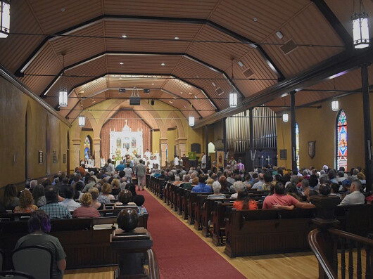 Christmas Altar with gold Alleluia hanging and red poinsettias under the altar