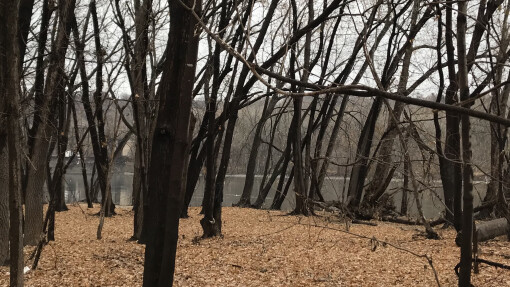 No Different Than Me