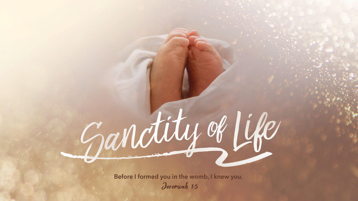 Sanctity of Human Life Share and Reception