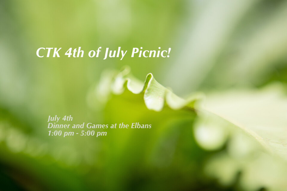 4th of July Picnic