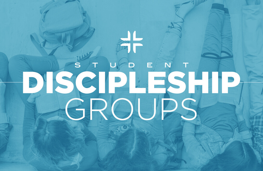 Student D-Groups