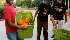 St. James Pumpkin Patch 2014