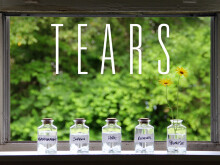 Tears of Promise
