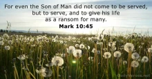 Twenty-First Sunday after Pentecost - Oct 17th