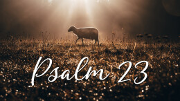 Psalm 23 | The Lord Protects Me