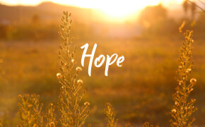Psalm 131 | HOPE