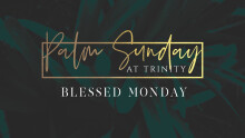 Palm Sunday - Blessed Monday