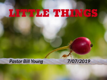 Little Things 2019