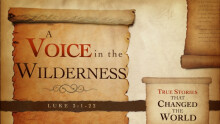A Voice in the Wilderness