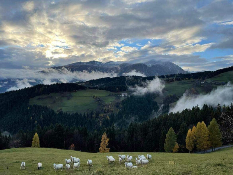 Beautiful Slovenia countryside