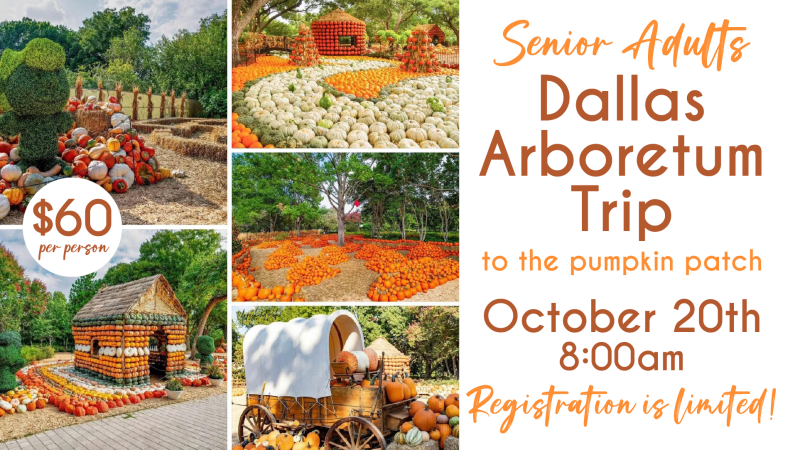 Senior Adult Day Trip to Dallas Arboretum