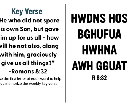 Join us in Memorizing Romans 8:31