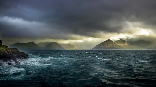 Calming the Storm
