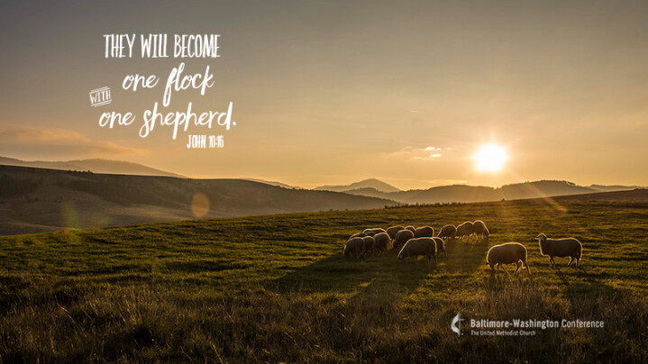 Desktop wallpaper: One flock