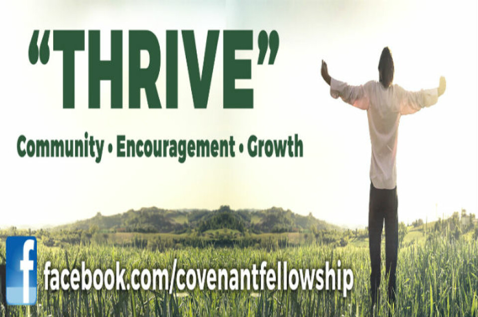 Thrive Small Group Study