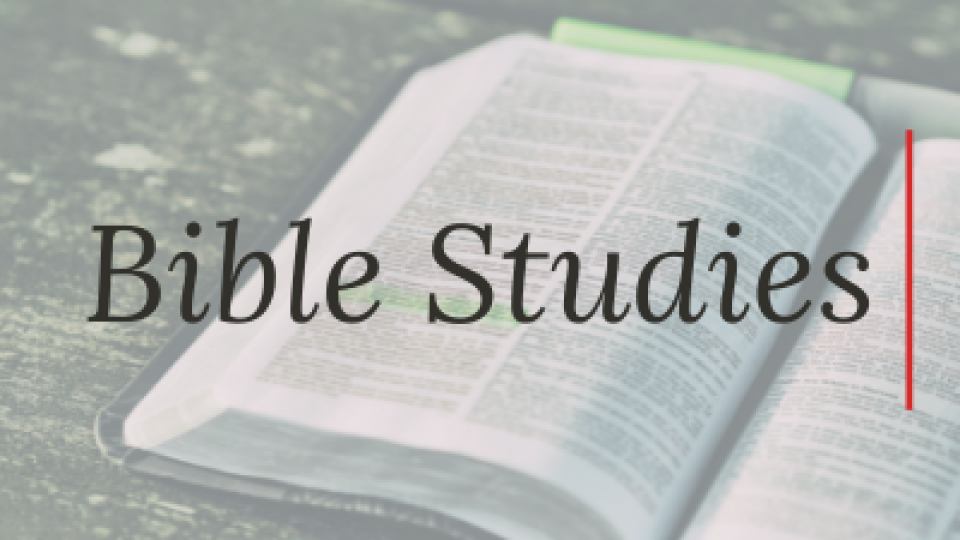 Bible Studies