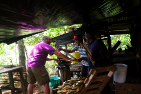 Jarred helping press sugarcane