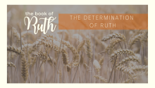 The Determination of Ruth