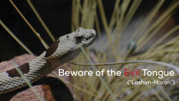 Beware the Evil Tongue