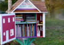 Pequeña biblioteca aumenta alfabetización, comunidad