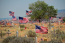 Tattered Flags Mark Codetalker Graves