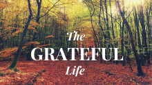 The Grateful Life: Gratitude as a Lifestyle