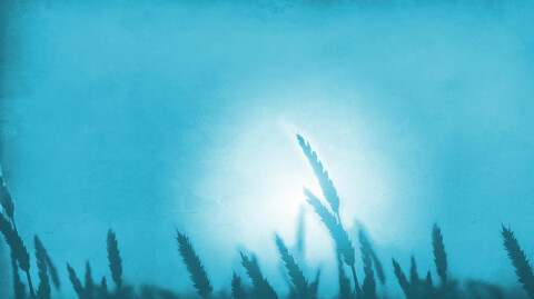 Work of The Holy Spirit by R. A. Torrey