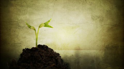 Excerpt from Lord, Teach Us To Pray, by Andrew Murray