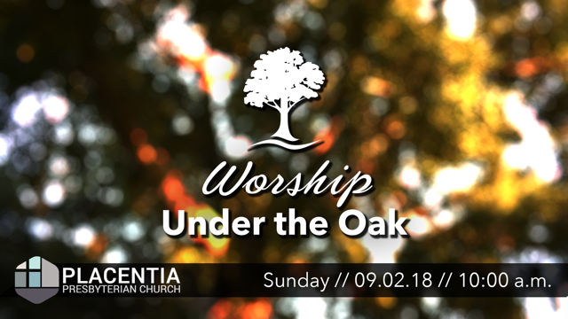 Worship Under the Oak